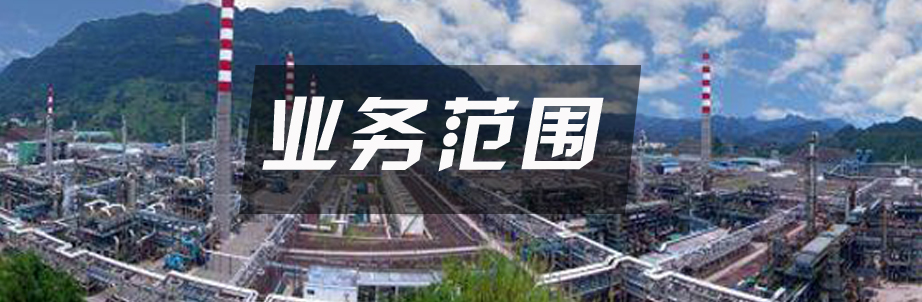 业务范围
